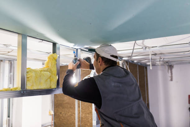 Best Energy-efficient Insulation  in Plattsmouth, NE