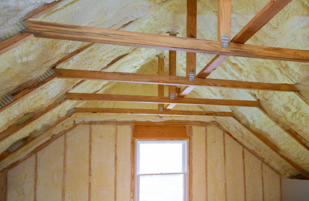 Best Crawl Space Insulation  in Plattsmouth, NE