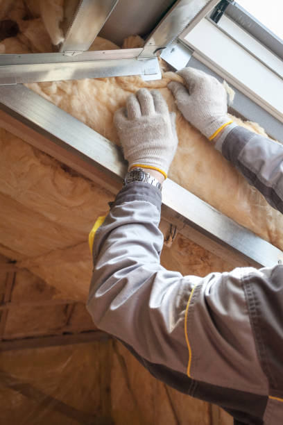 Best Soundproof Insulation Installation  in Plattsmouth, NE