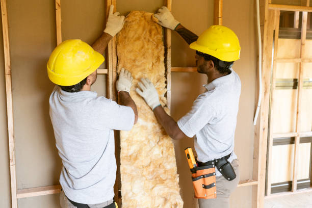 Best Blown-in Insulation  in Plattsmouth, NE