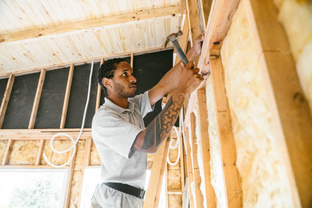Best Insulation for Commercial Buildings  in Plattsmouth, NE