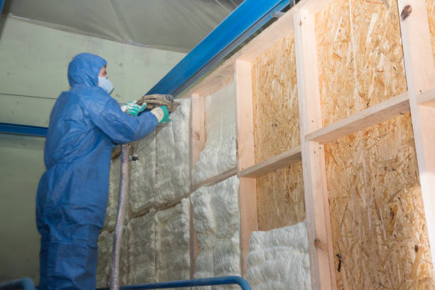 Best Professional Insulation Contractor  in Plattsmouth, NE