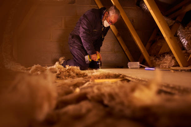 Best Insulation for New Construction  in Plattsmouth, NE