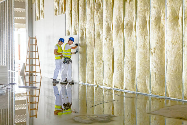 Professional Insulation Contractor in Plattsmouth, NE